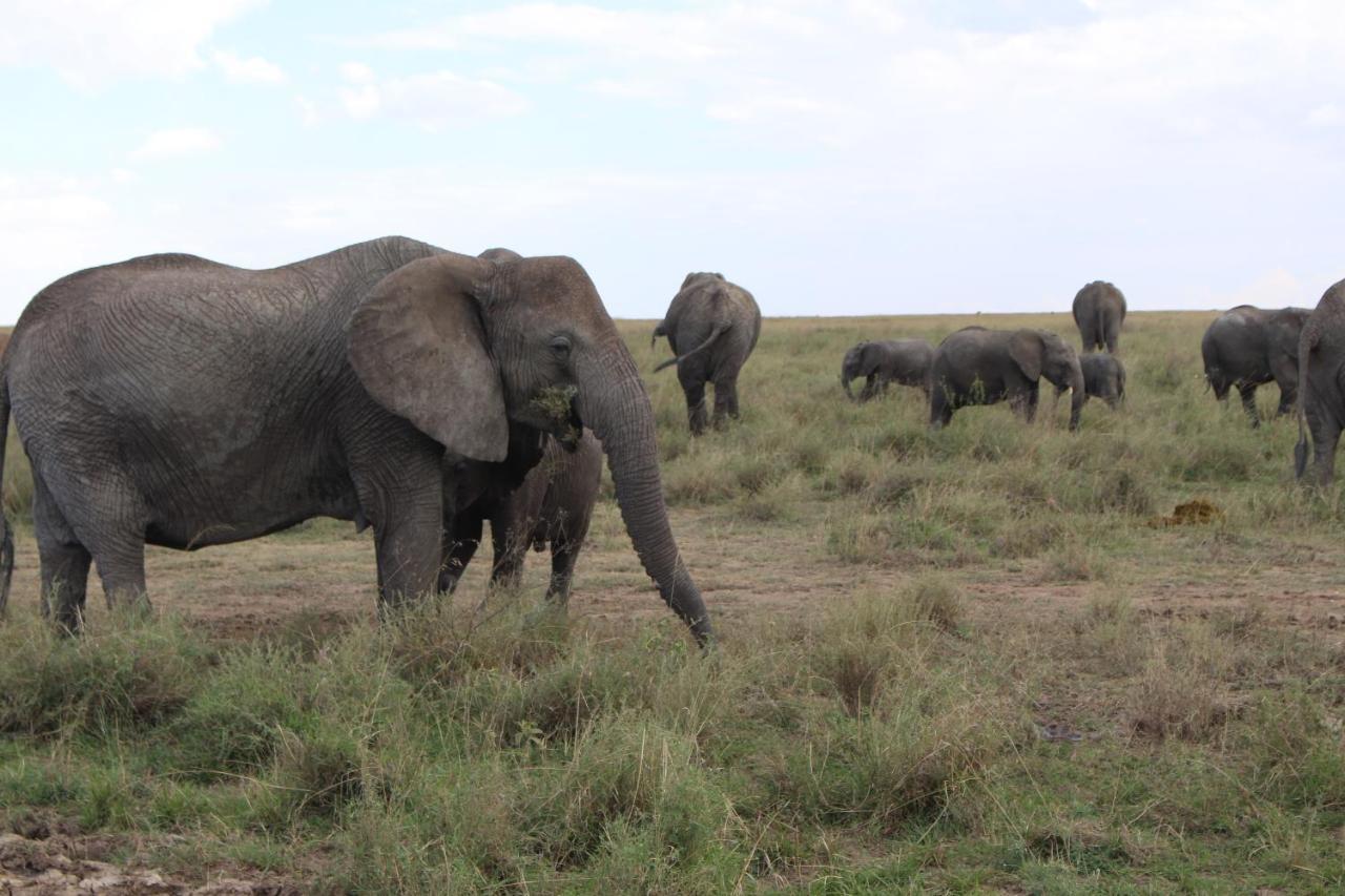 Mapito Tented Camp Serengeti Extérieur photo
