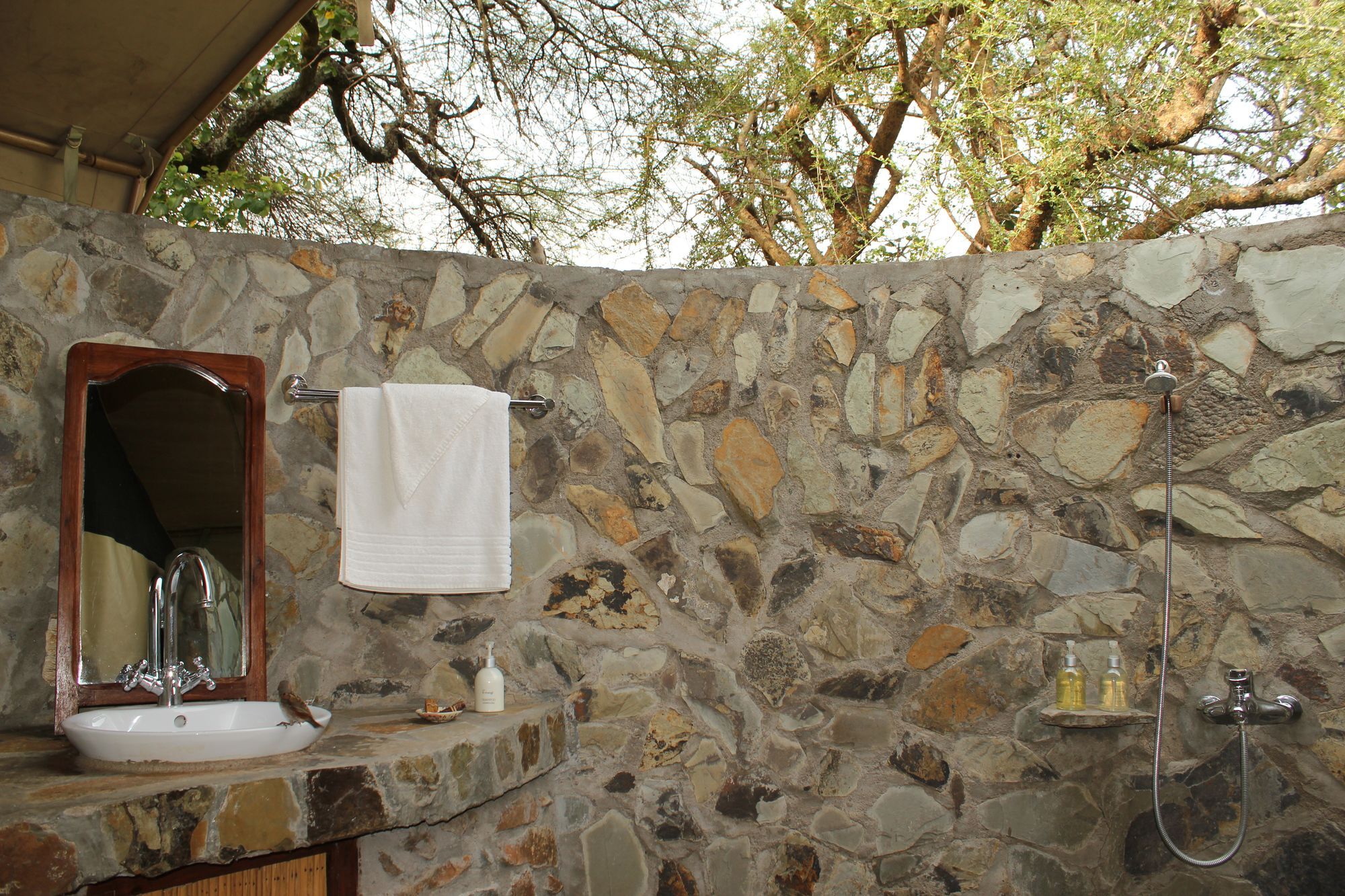 Mapito Tented Camp Serengeti Extérieur photo